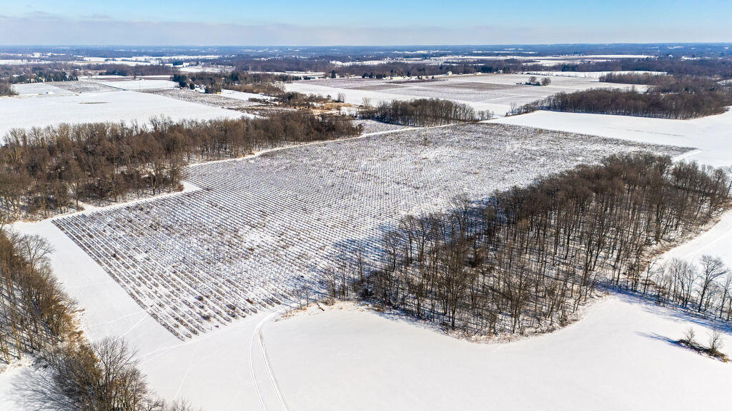 V/l East Lemon Creek Road Berrien Springs, MI 49103 - Photo 10 of 27 Lemon Creek