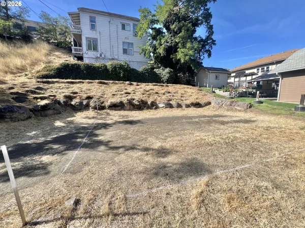 a view of a town with large trees