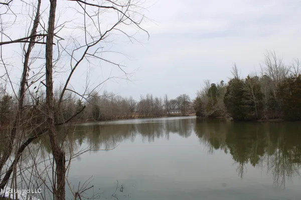 $1,250,000 | 4325 Old Highway 301, Lake Cormorant, MS 38641