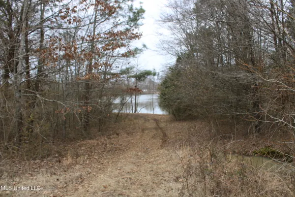 $1,250,000 | 4325 Old Highway 301, Lake Cormorant, MS 38641