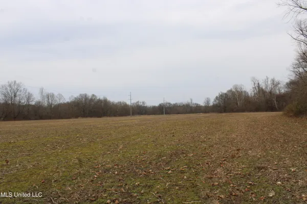 $1,250,000 | 4325 Old Highway 301, Lake Cormorant, MS 38641