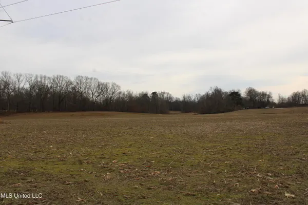 $1,250,000 | 4325 Old Highway 301, Lake Cormorant, MS 38641