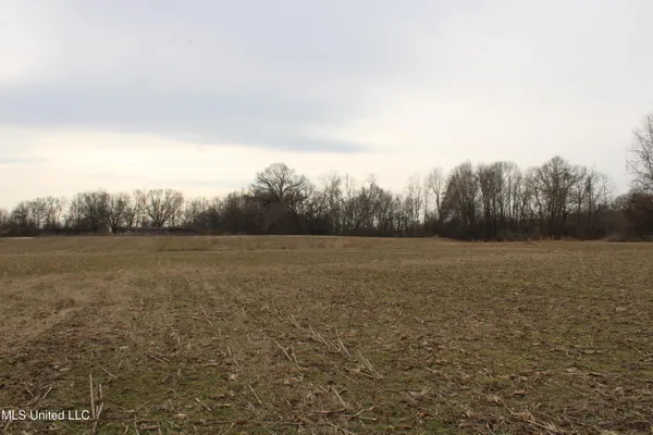 $1,250,000 | 4325 Old Highway 301, Lake Cormorant, MS 38641