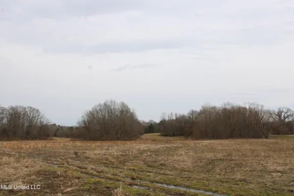 $1,250,000 | 4325 Old Highway 301, Lake Cormorant, MS 38641