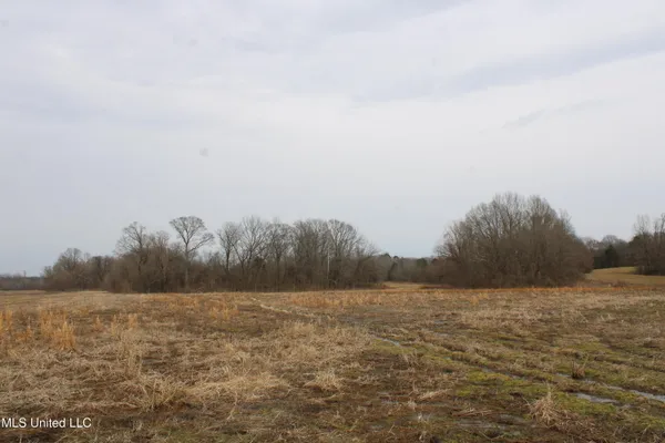 $1,250,000 | 4325 Old Highway 301, Lake Cormorant, MS 38641