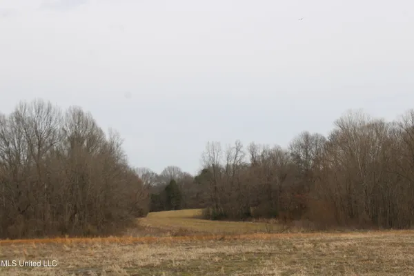 $1,250,000 | 4325 Old Highway 301, Lake Cormorant, MS 38641