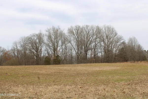 $1,250,000 | 4325 Old Highway 301, Lake Cormorant, MS 38641
