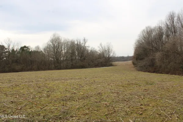 $1,250,000 | 4325 Old Highway 301, Lake Cormorant, MS 38641