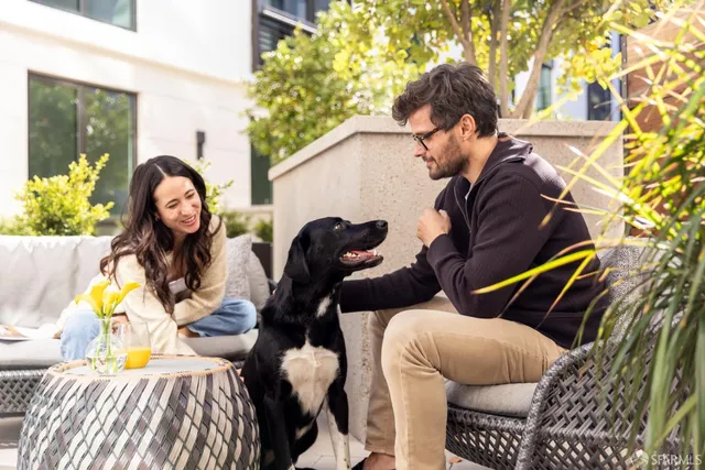 a view of backyard with outdoor seating and plants