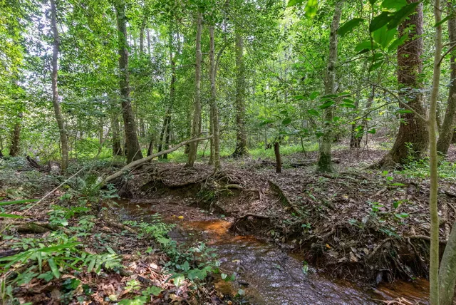 $238,000 | Lot 7 State Hwy S-19-479, North Augusta, SC 29860