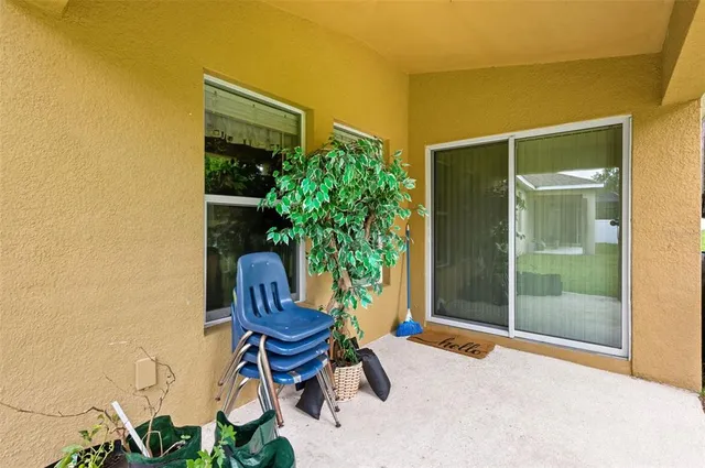 a view of a backyard with potted plants