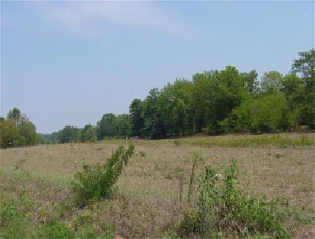 0 Rieves Bend Road Columbia, TN 38401 - Photo 1 of 3 Gallery Image 1