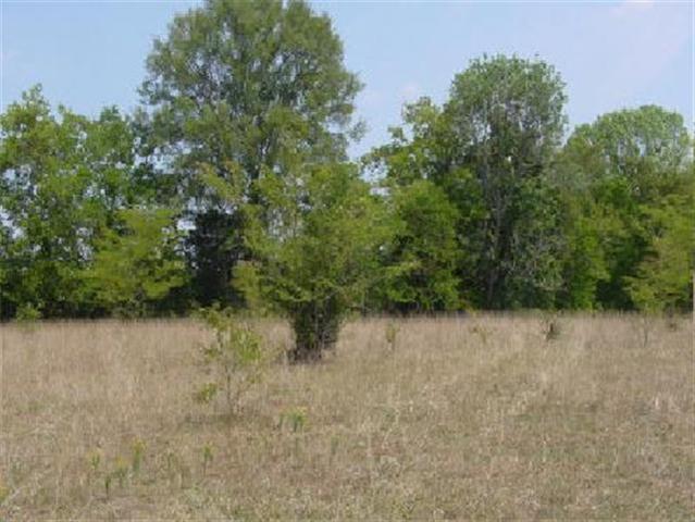 0 Rieves Bend Road Columbia, TN 38401 - Photo 2 of 3 Gallery Image 2