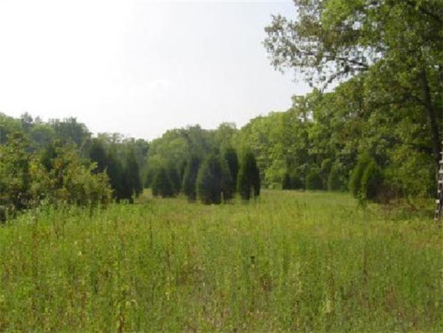 0 Rieves Bend Road Columbia, TN 38401 - Photo 3 of 3 Gallery Image 3