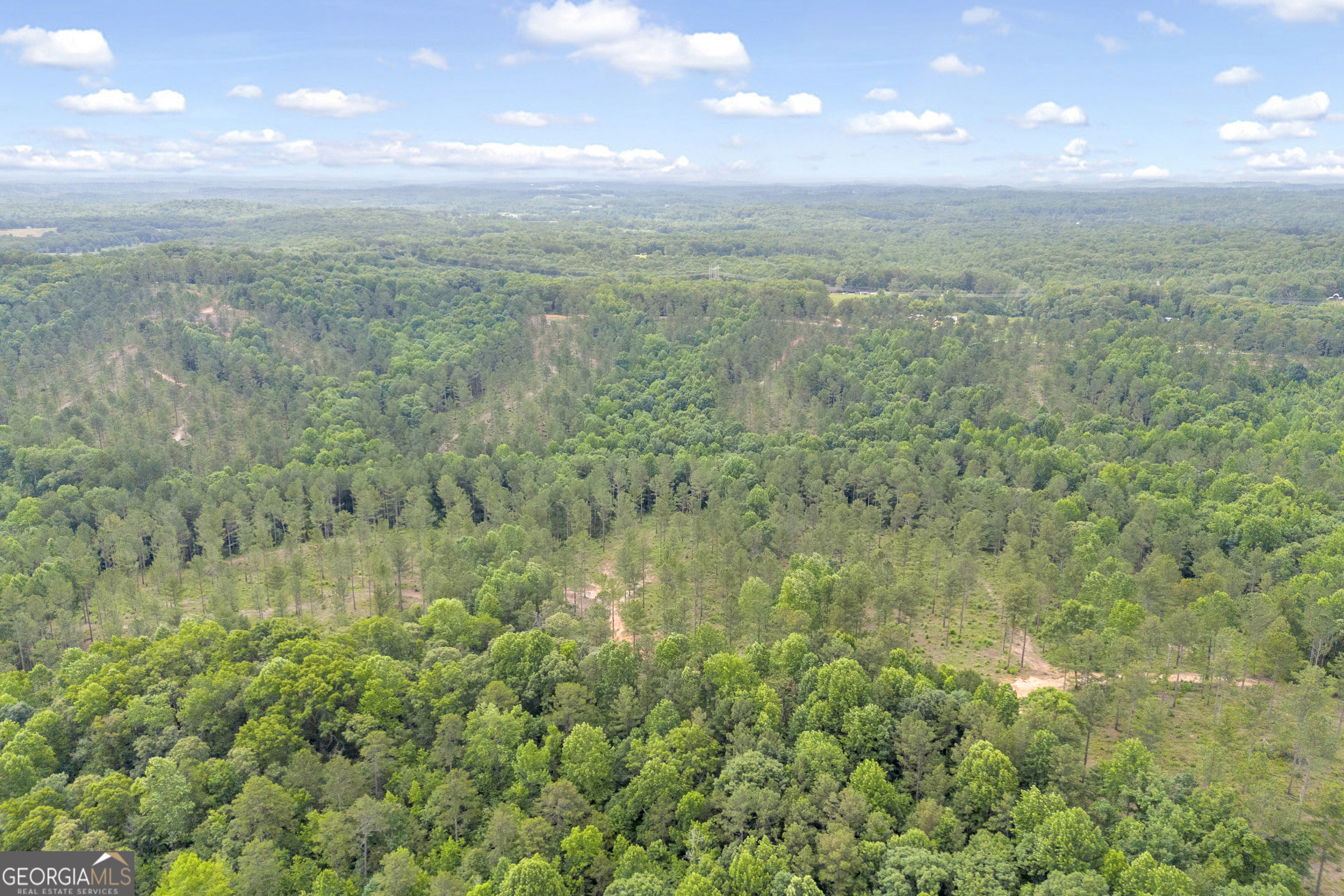 0 Mt Sinai Road, Unit LOT 1 Lula, GA 30554 - Photo 40 of 67