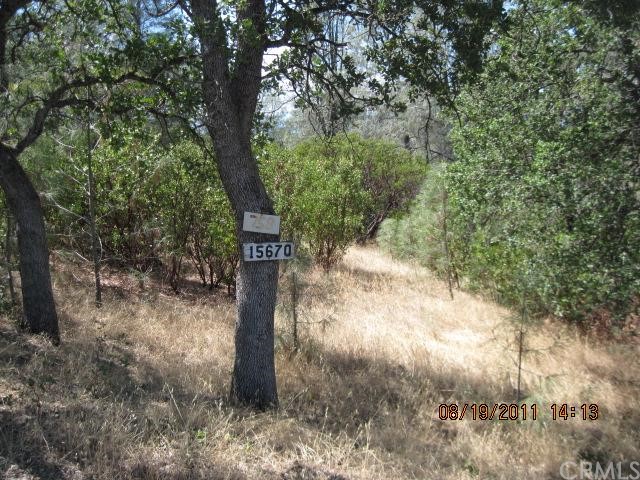 15670 Oakridge Road Corning, CA 96021 - Photo 1 of 1
