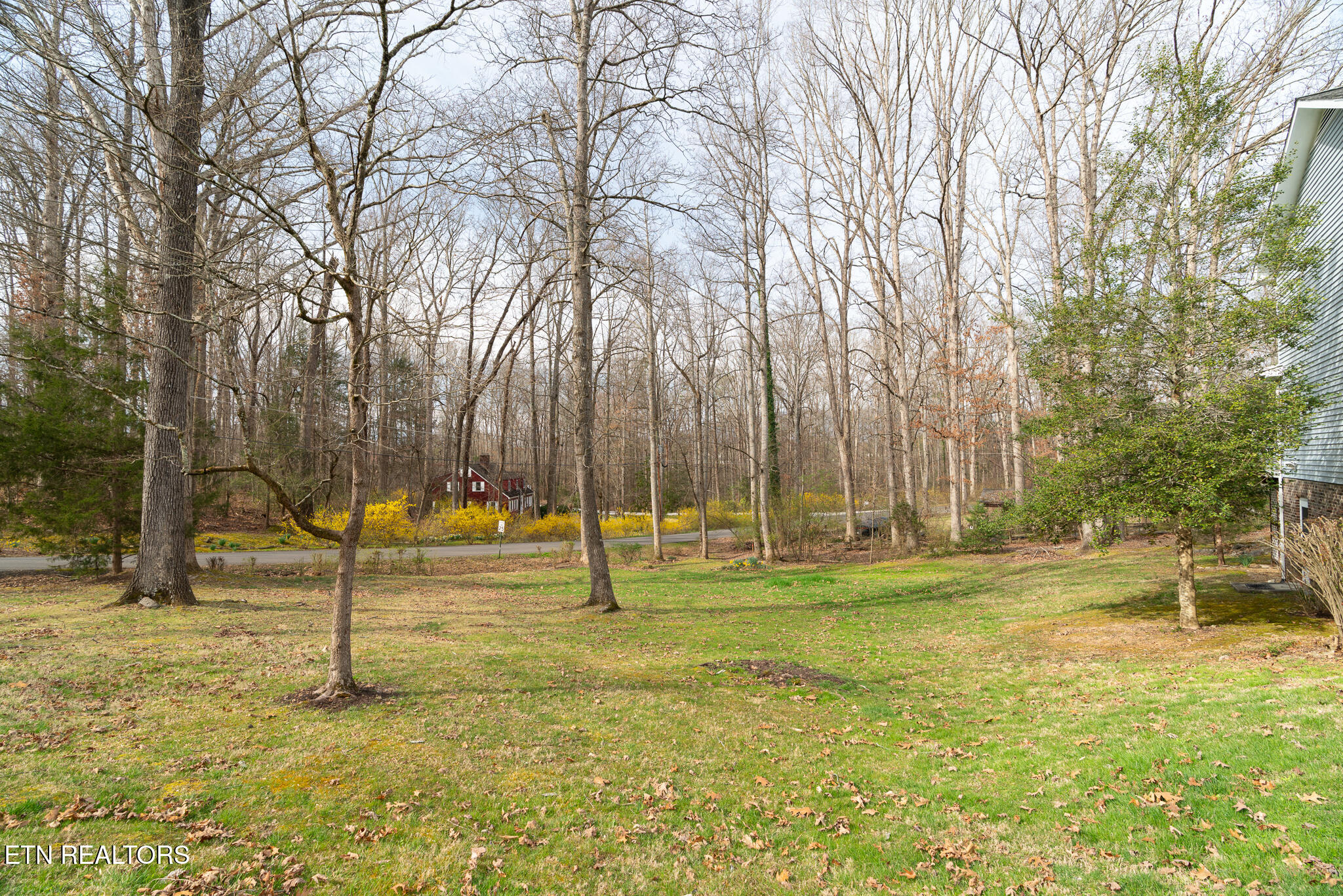 1505 Timber Trail Newport, TN 37821 - Photo 29 of 46 untitled-29
