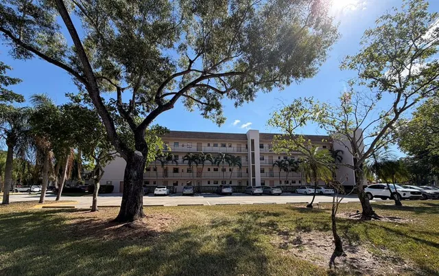 a view of a large trees with a yard