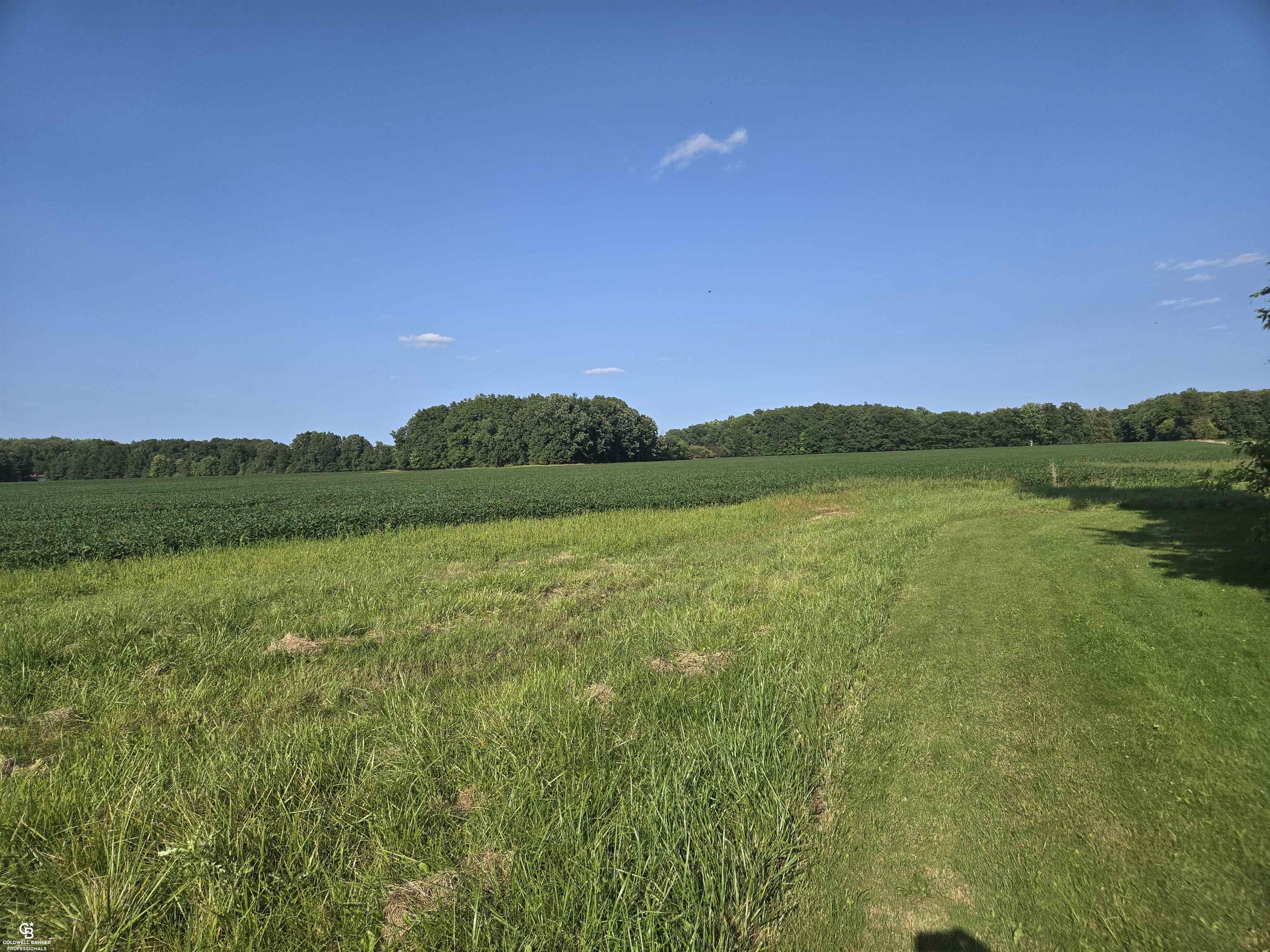 0 Fargo Vl Road Avoca, MI 48006 - Photo 4 of 11