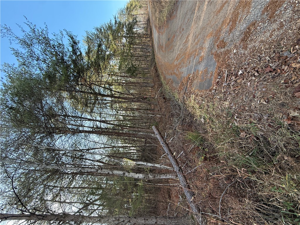 0 Woodall Mountain Road Pickens, SC 29671 - Photo 5 of 7