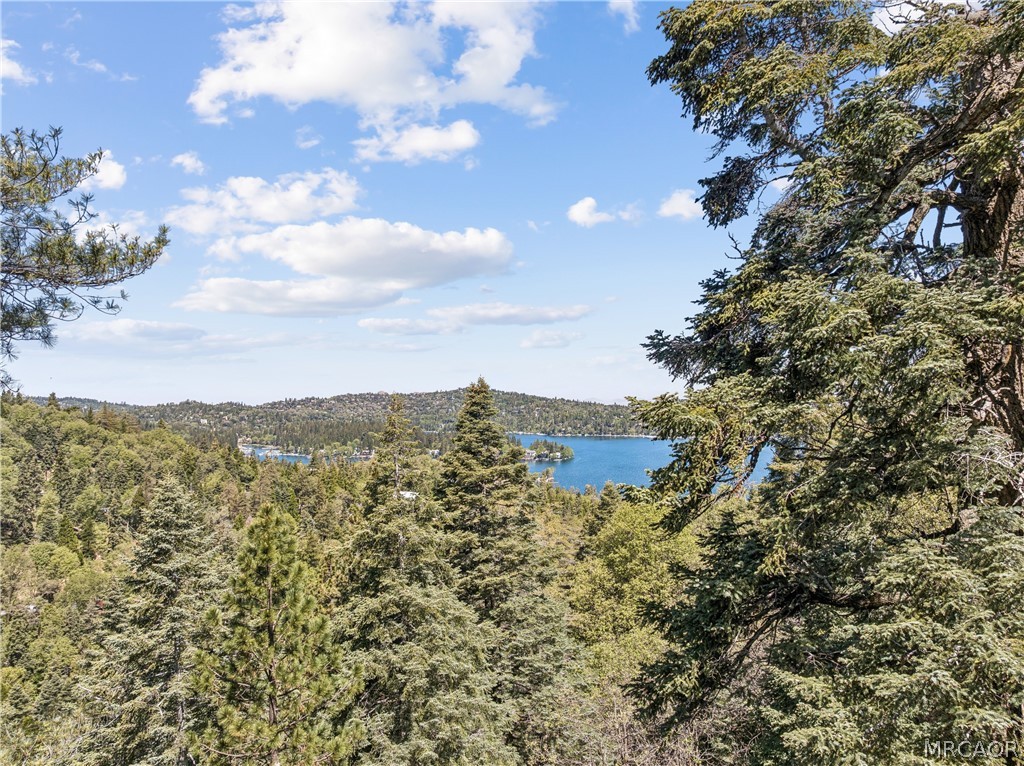 590 Arrowhead Villa Road Lake Arrowhead, CA 92352 - Photo 42 of 43