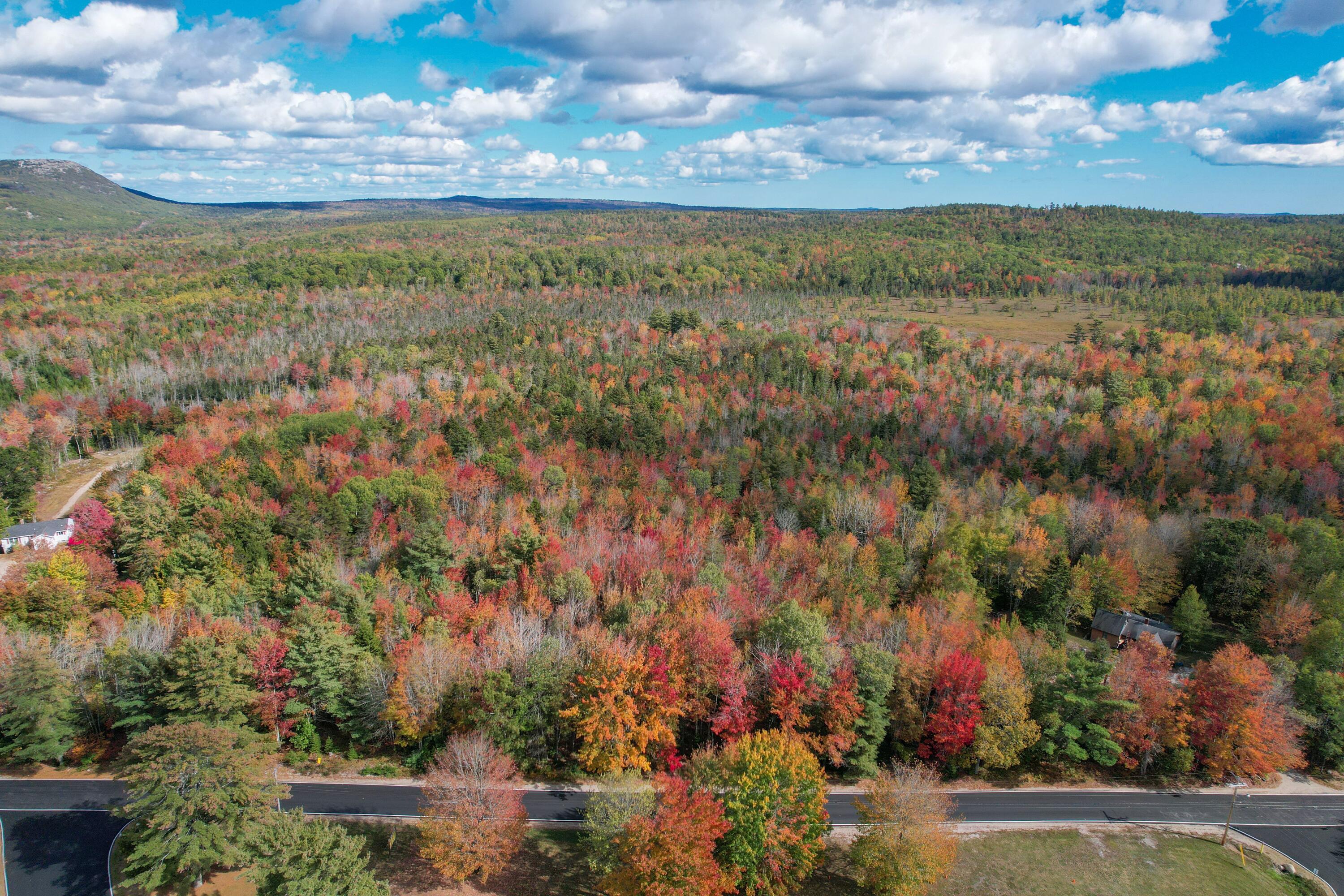 535 Bert Gray Road Sullivan, ME 04664 - Photo 9 of 14 DJI_0148