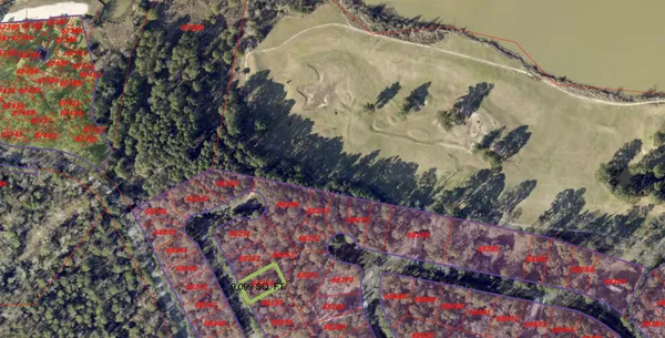 a picture of flowers