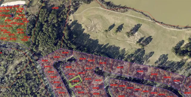 a picture of flowers