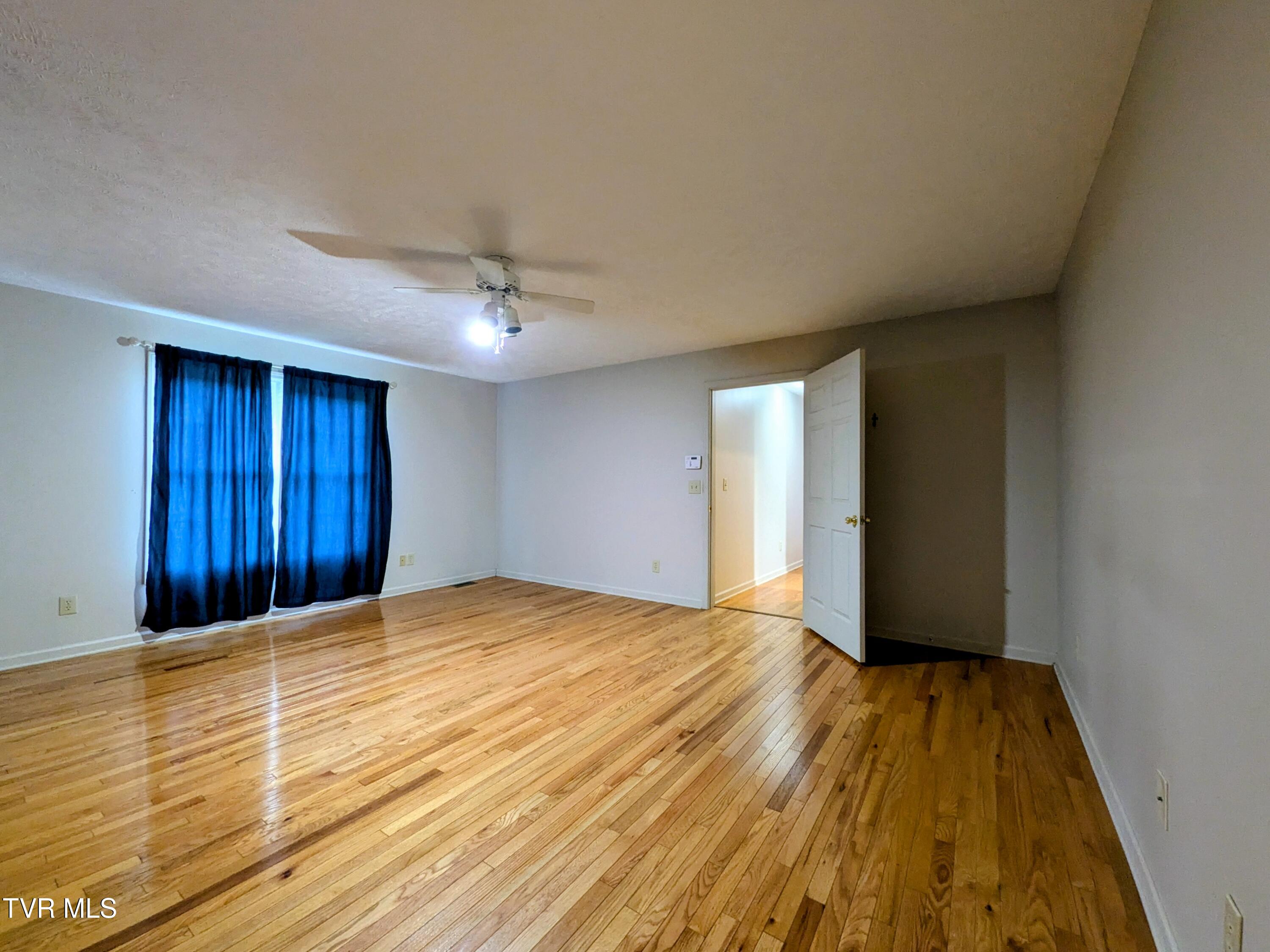 113 Nave Hollow Road Elizabethton, TN 37643 - Photo 16 of 91 Primary Bedroom(2)
