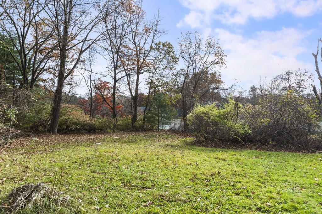 103 Myrtle Street Ashland, MA 01721 - Photo 32 of 38 a view of a yard with trees