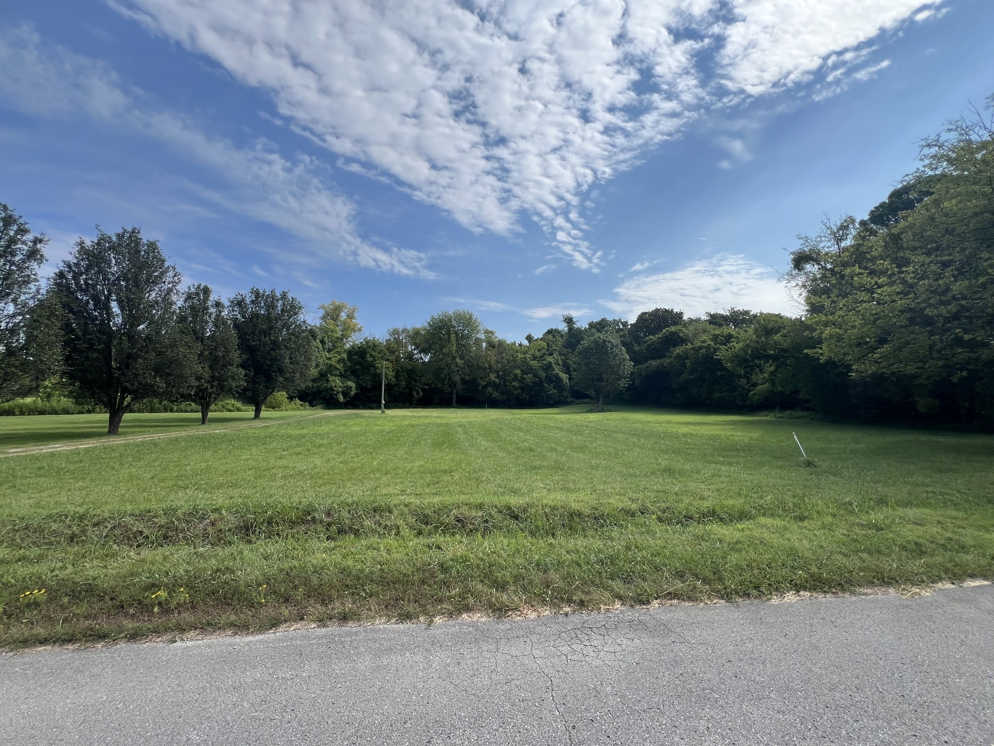 0 Prowell Lake Road Lebanon, TN 37087 - Photo 5 of 5 Gallery Image 5
