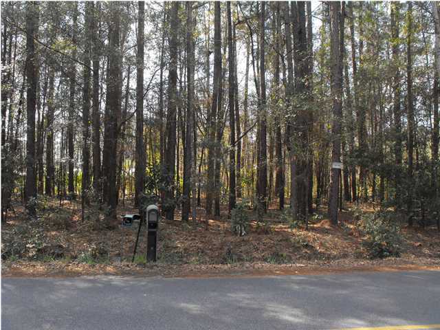 708 Otis Road Walterboro, SC 29488 - Photo 3 of 3 Additional Photo