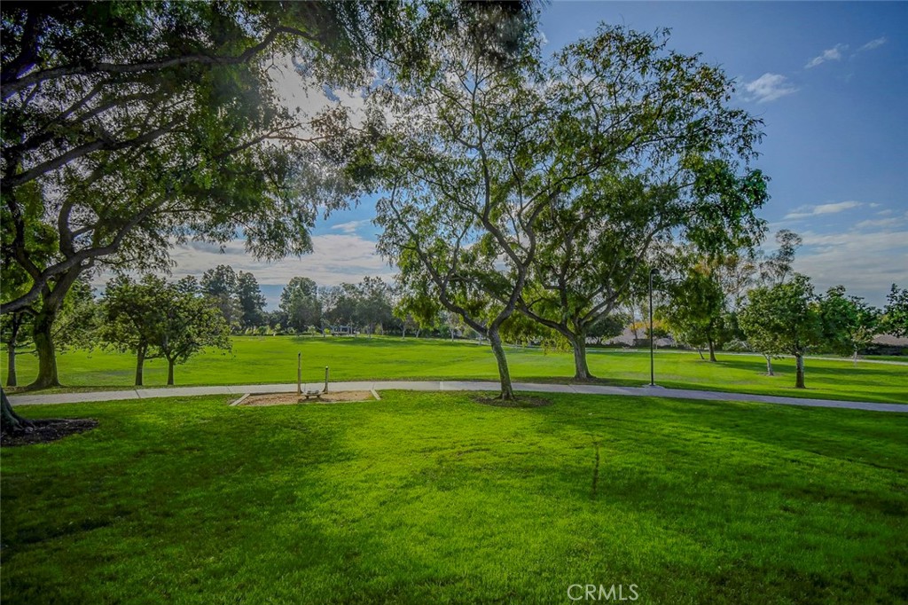 21941 Rimhurst Drive, Unit D Lake Forest, CA 92630 - Photo 43 of 44 a view of a big yard with a large trees