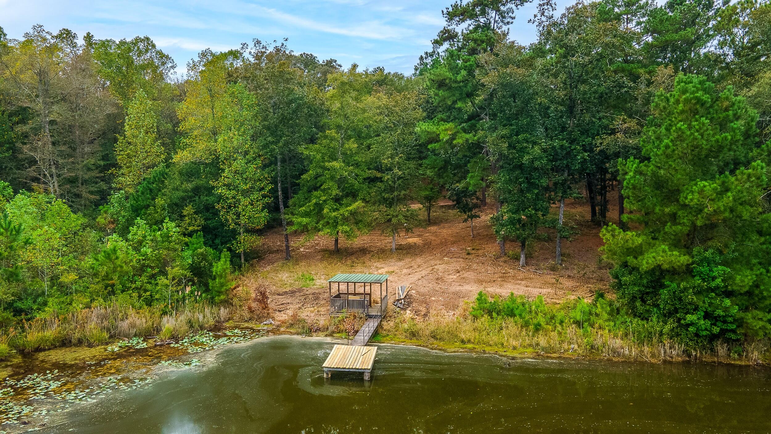 411 Snipes Pond Road Aiken, SC 29805 - Photo 4 of 23