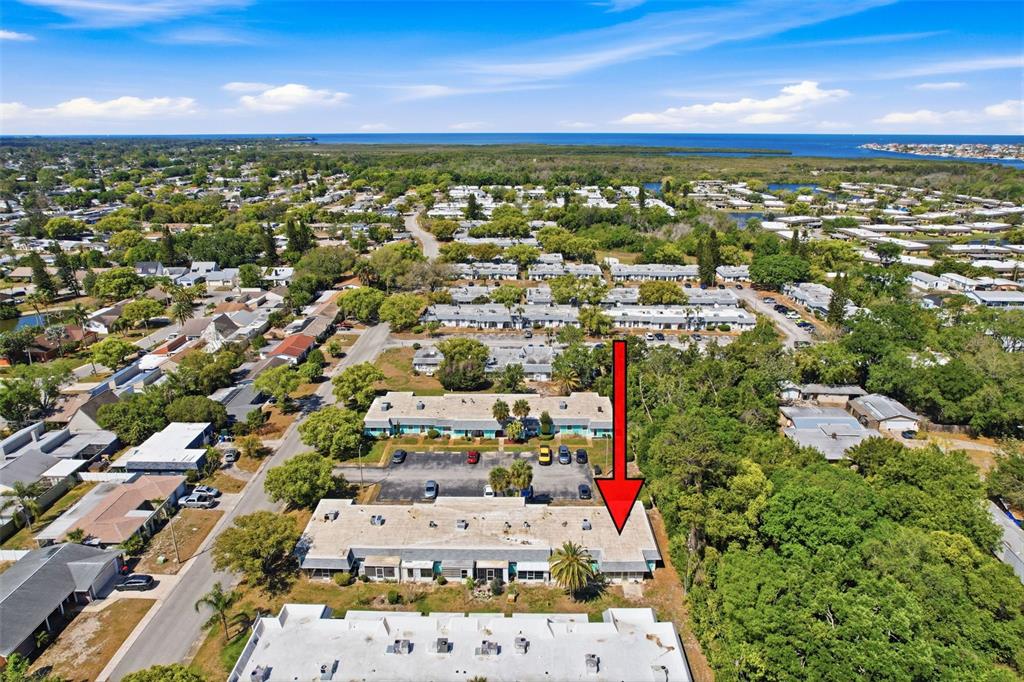 4224 Terrapin Place, Unit 4224 New Port Richey, FL 34652 - Photo 55 of 58 an aerial view of residential houses with outdoor space and trees