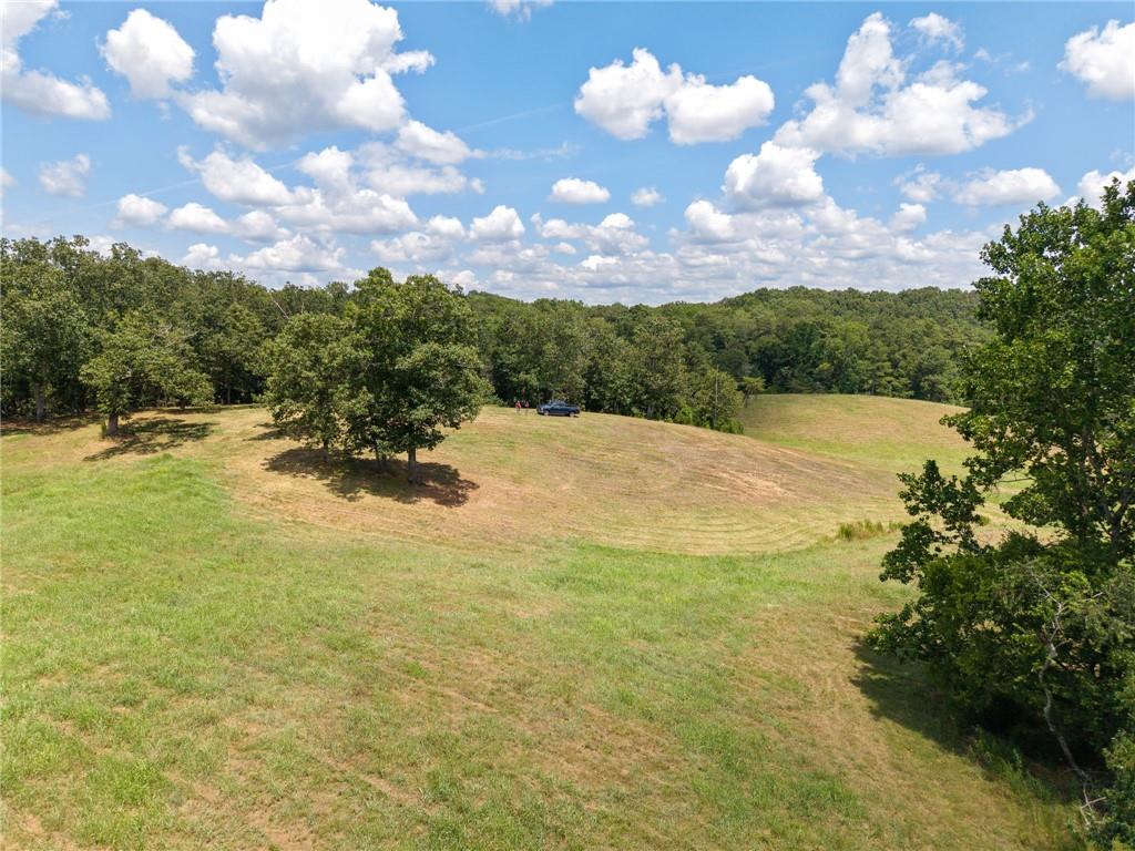 0 Mt Pleasant Road Northeast Fairmount, GA 30139 - Photo 22 of 35