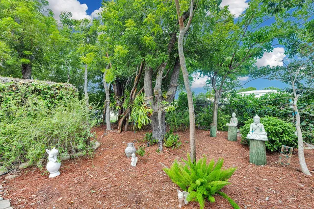 a view of yard with green space