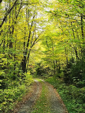 $129,500 | 672 Meadow Lane, Rumford, ME 04276