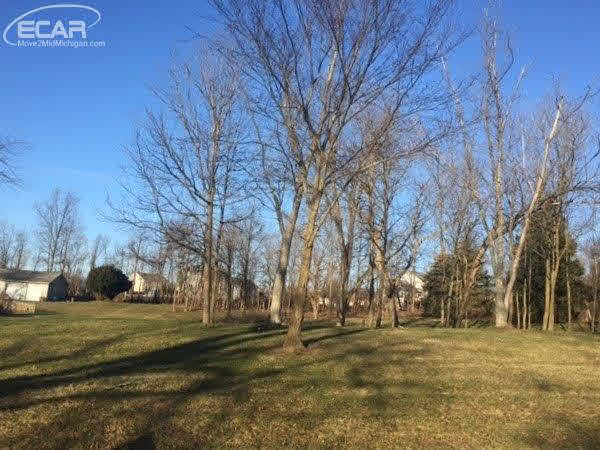 Denton Hill Road Flint, MI 48532 - Photo 2 of 3