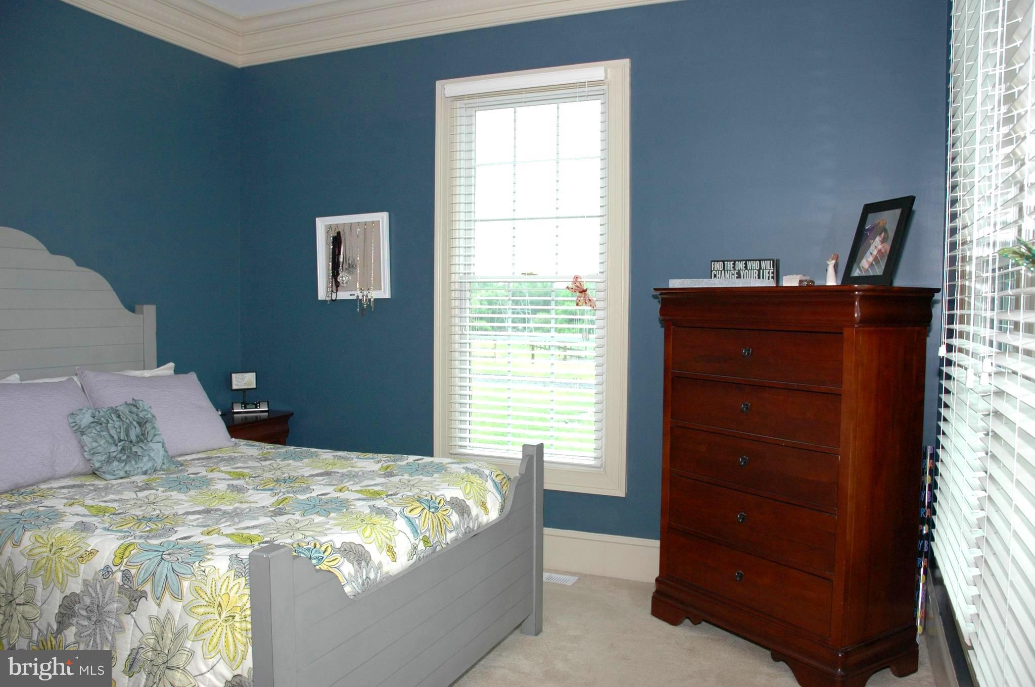 1408 Baldwin Mill Road Jarrettsville, MD 21084 - Photo 13 of 30 Bedroom (Master #2)