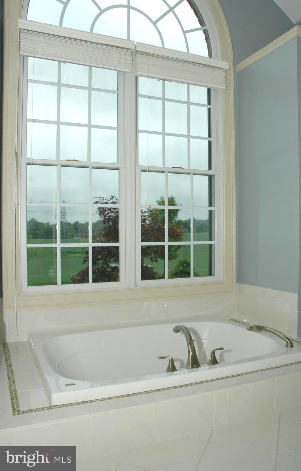 1408 Baldwin Mill Road Jarrettsville, MD 21084 - Photo 15 of 30 Bath (Master #2)