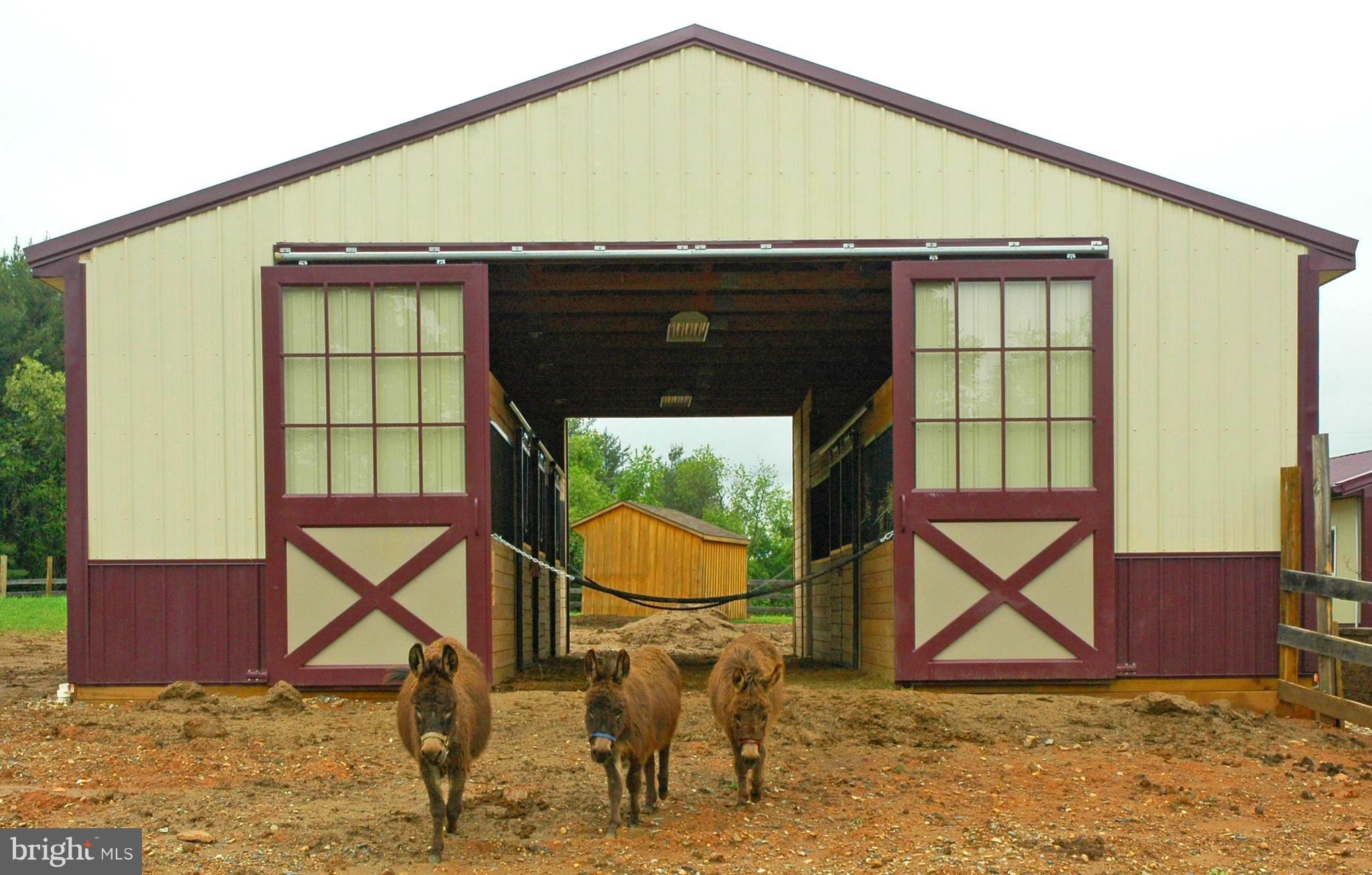 1408 Baldwin Mill Road Jarrettsville, MD 21084 - Photo 26 of 30 Barn Horses, Donkeys