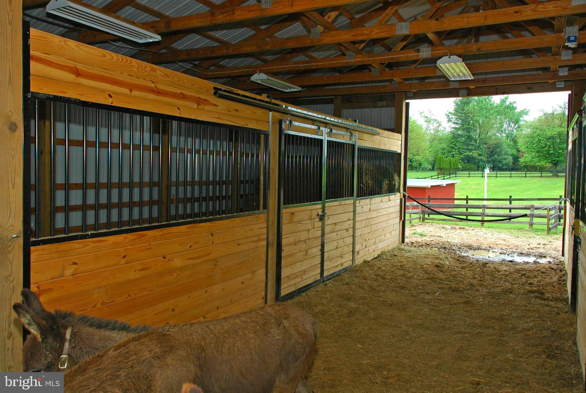 1408 Baldwin Mill Road Jarrettsville, MD 21084 - Photo 27 of 30 Barn Horses, Donkeys