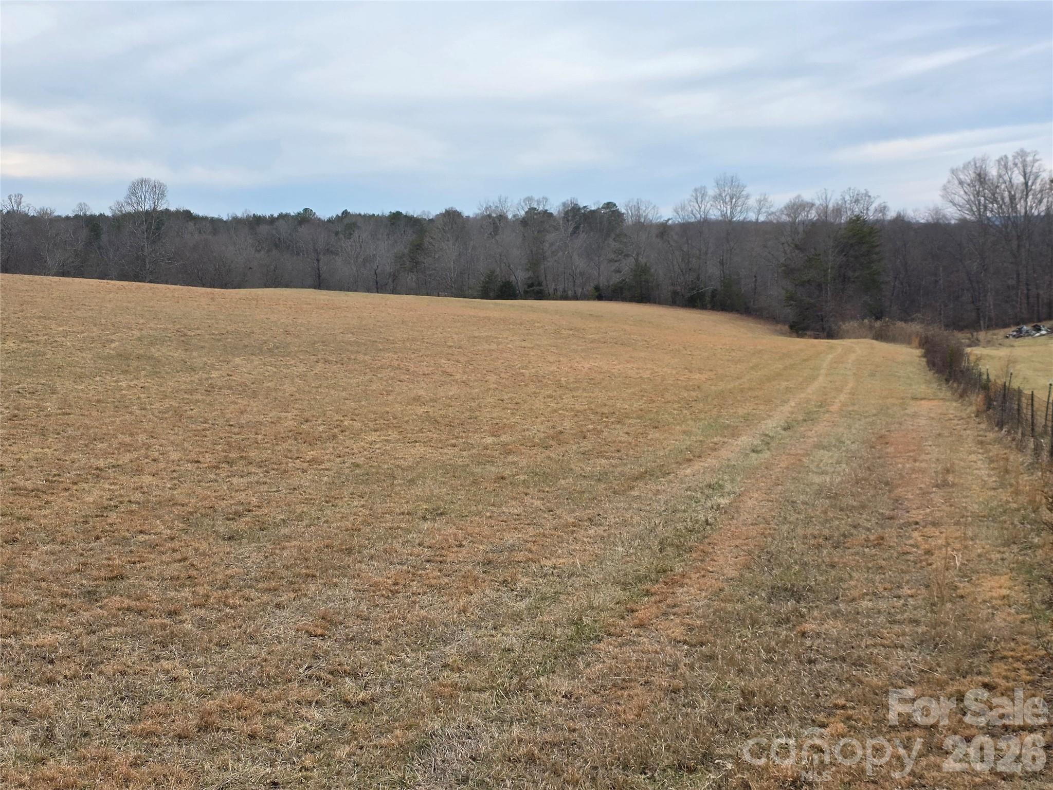 0 Locust Grove Road, Unit 2 Westfield, NC 27053 - Photo 6 of 9