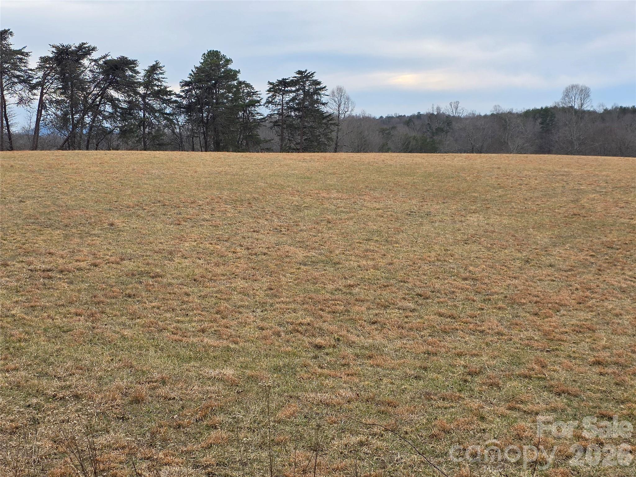 0 Locust Grove Road, Unit 2 Westfield, NC 27053 - Photo 8 of 9