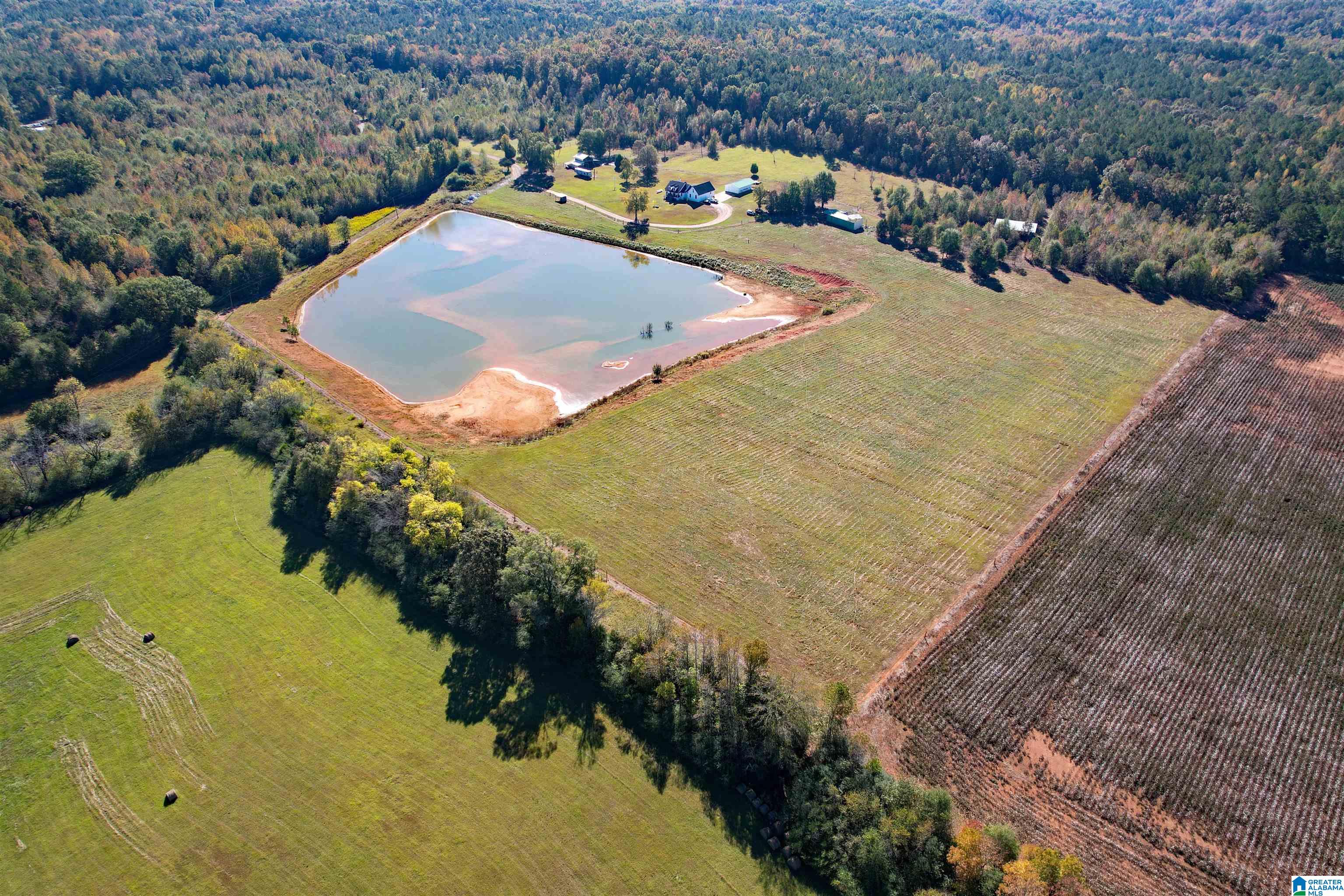 1450 Rendalia Motorway Talladega, AL 35160 - Photo 9 of 64