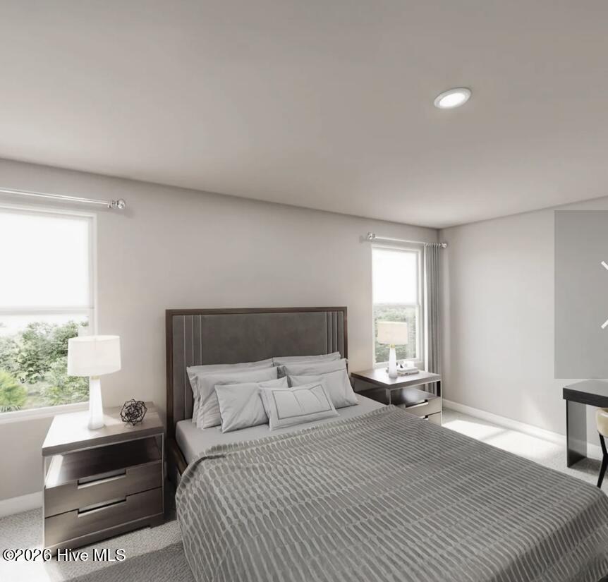 753 Rivers Edge Parkway Roanoke Rapids, NC 27870 - Photo 4 of 7 Primary bedroom