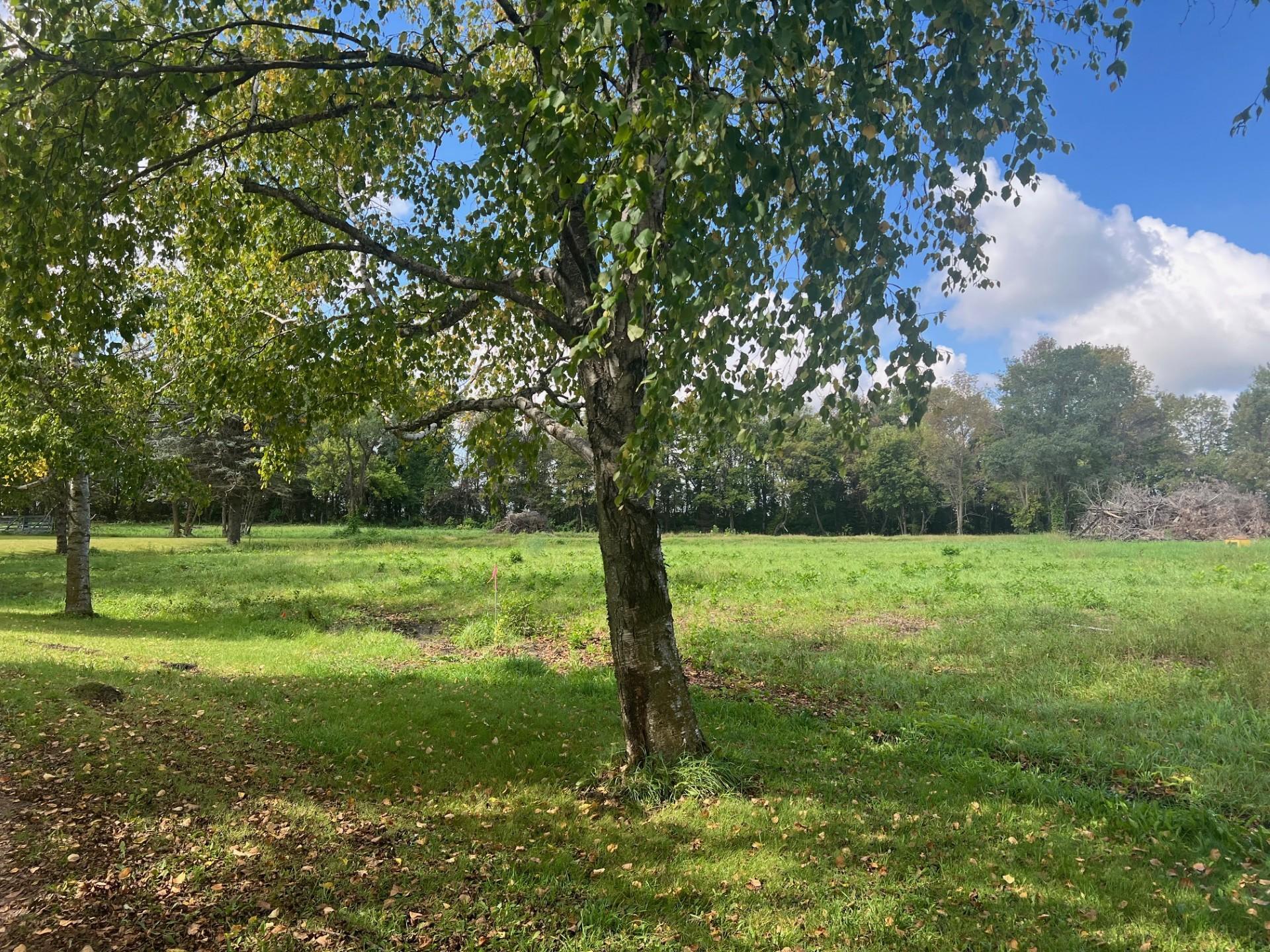 Tbd 30th Avenue Southwest Willmar, MN 56201 - Photo 2 of 5