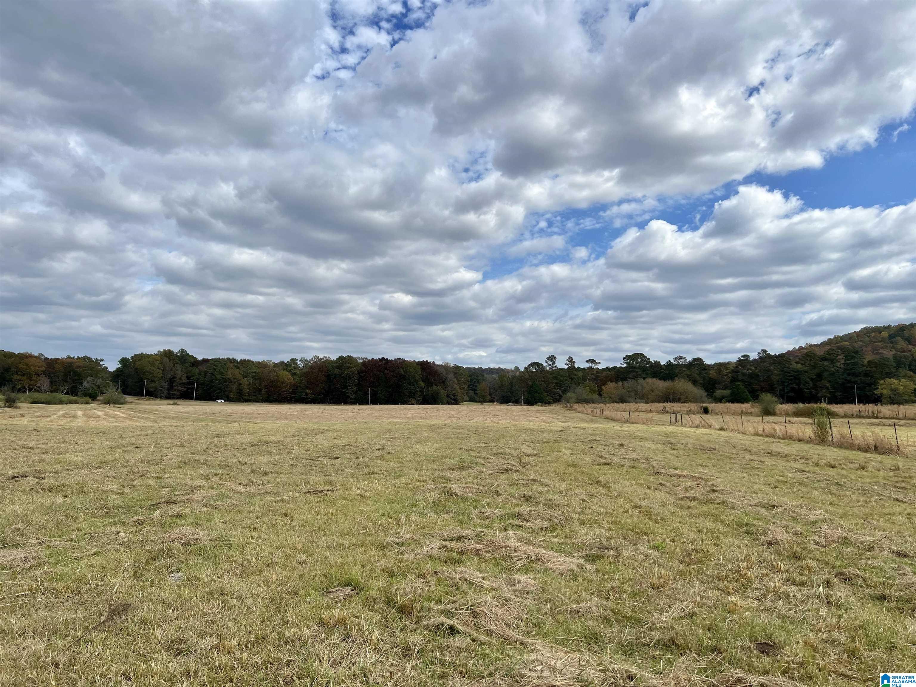 0 Rock Springs Road, Unit 52 24 Warrior, AL 35180 - Photo 15 of 39