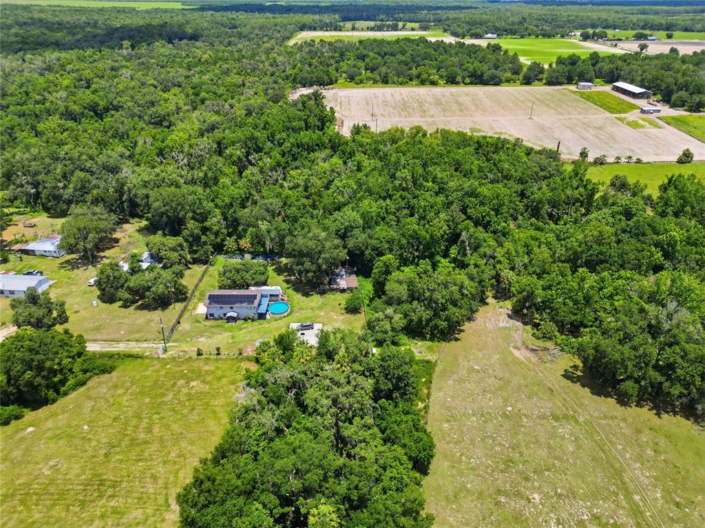 3126 Toole Road Lithia, FL 33547 - Photo 52 of 66
